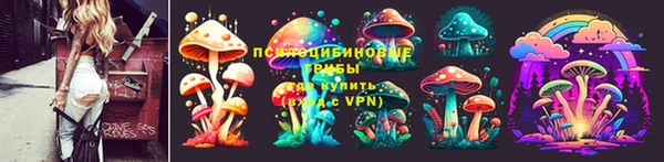 дмт Осинники