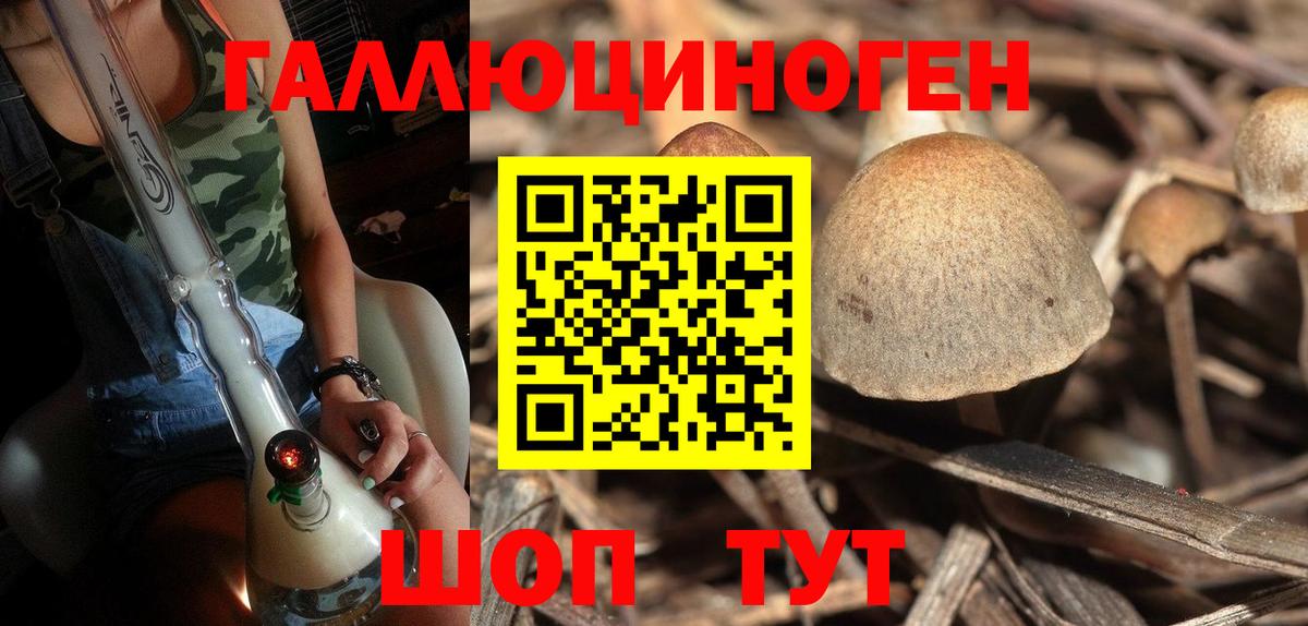 Псилоцибиновые грибы Magic Shrooms Белая Калитва